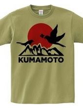 FOR KUMAMOTO