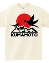 FOR KUMAMOTO