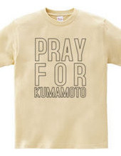 [Development] [Kumamoto Kumamoto support