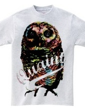 CANDY COLOR OWL