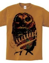 CANDY COLOR OWL
