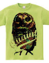 CANDY COLOR OWL