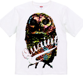 CANDY COLOR OWL