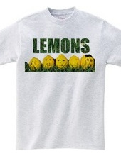 We are LEMONS