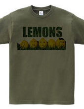 We are LEMONS