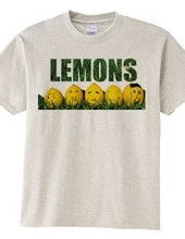 We are LEMONS