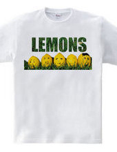 We are LEMONS