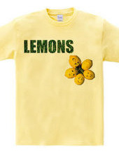 We are lemons 2