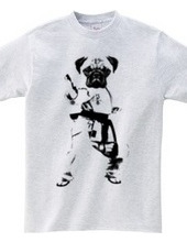 Pug is the best? Pug karate