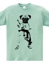 Pug is the best? Pug karate