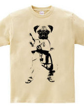 Pug is the best? Pug karate