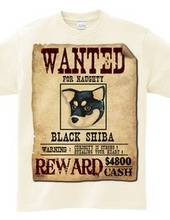 Black shiba spirit C