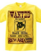 Black shiba spirit C