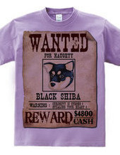 Black shiba spirit C