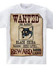 Black shiba spirit C