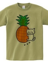 White cat with pineapple