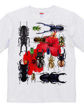 Stag beetles