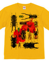 Stag beetles