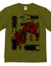 Stag beetles