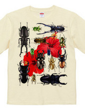 Stag beetles