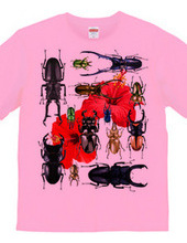 Stag beetles