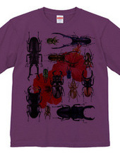 Stag beetles