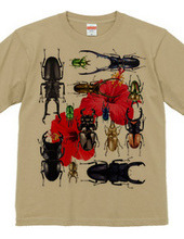 Stag beetles