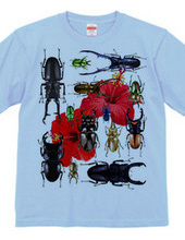 Stag beetles