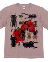 Stag beetles