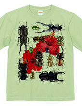 Stag beetles