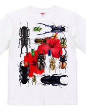 Stag beetles