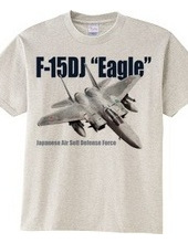 F-15 Eagle