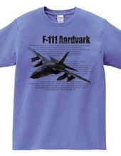 F-111 Aardvark