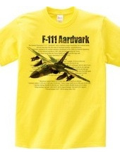 F-111 Aardvark