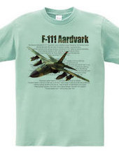 F-111 Aardvark