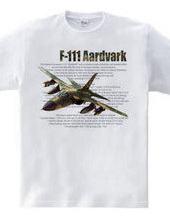 F-111 Aardvark