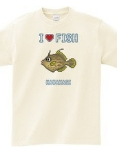 Filefish (dot)