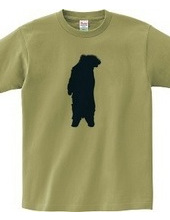 Zoo-Shirt | Mr.Bear