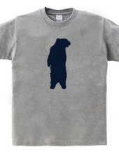 Zoo-Shirt | Mr.Bear