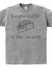 Knowledge is the wealth