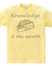 Knowledge is the wealth