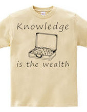 Knowledge is the wealth