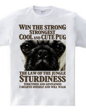 Jungle strongest Pug strong pursuit Desi