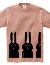 Rabbit x3