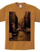 Alleyway in NY_tsbr01　