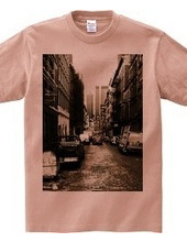 Alleyway in NY_tsbr01 