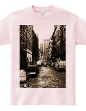 Alleyway in NY_tsbr01　