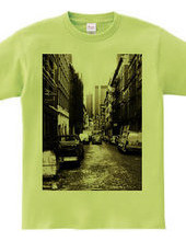 Alleyway in NY_tsbr01 