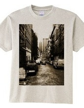 Alleyway in NY_tsbr01 