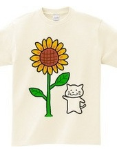 Shiro Neko sunflower